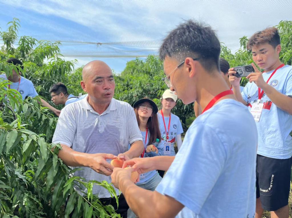 香港本港台现场报码